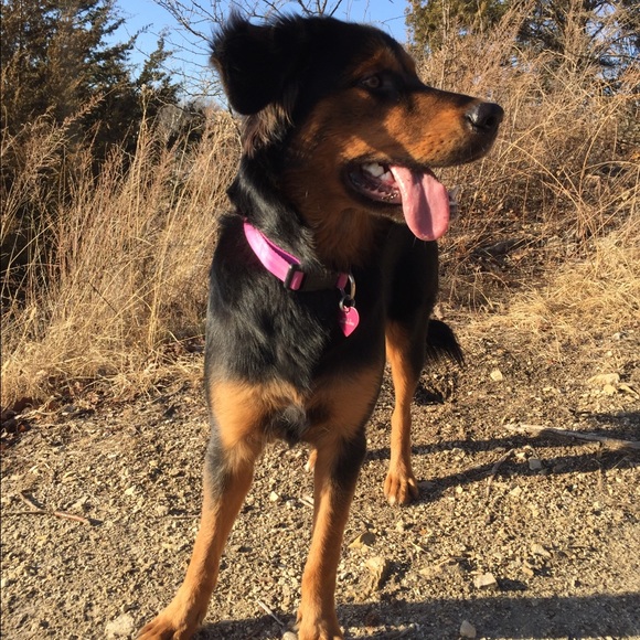 Meet your Posher, Kayla - Picture 5 of 8